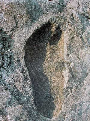 Arqueología prehistórica - Página 2 Laetoli-footprint-3_6mybp