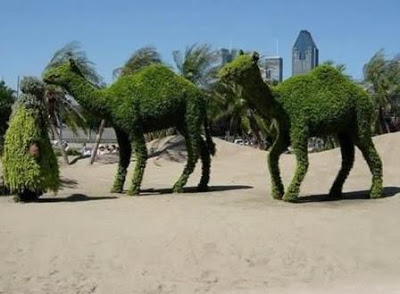 GRASS ART. What_do_you_think_about_grass_1