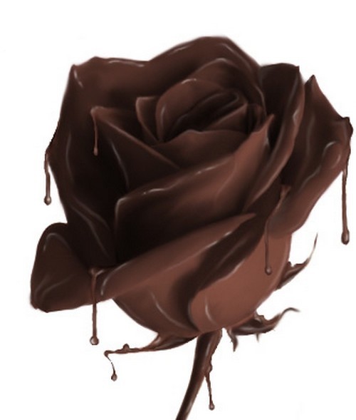 நான் அப்பாவாகப் போகிறேன்... Chocolate_rose.86193223