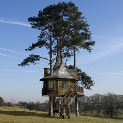 அழகிய மரங்களில் அழகான வீடுகள்.. Amazon-Tree-Houses-01