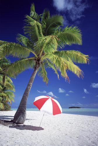 அழகுக்காட்சி பகுதி 02 Sea-palm-trees17