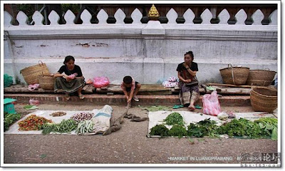 اغرب الاسواق في اسيا Unusual-asian-market-10