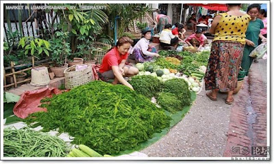 اغرب الاسواق في اسيا Unusual-asian-market-01