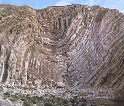 RAMAS DE LA GEOLOGÍA Pliegues