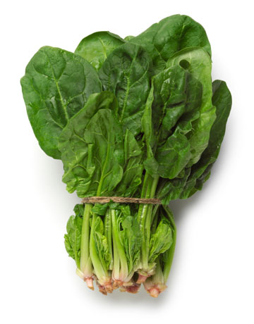 فوائد السبانخ والفطاير Spinach-vitamina-lg