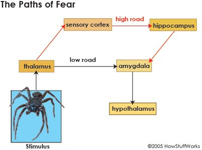 Cerita fiktif bukti Keberadaan Tuhan Fear-7