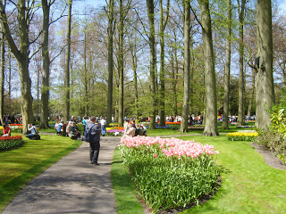 حديقة كوكنهوف أكبر حديقة زهور في العالم Keukenhof, the world's largest flower garden S8300639