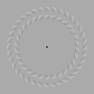 illusion optique, Géométrique, Artistique... Revolving_circles