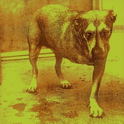 Alice In Chains: Nuevo disco en camino Cd-cover