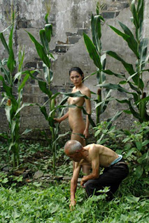 Bercocok Tanam YOk.......... Corn-field-68