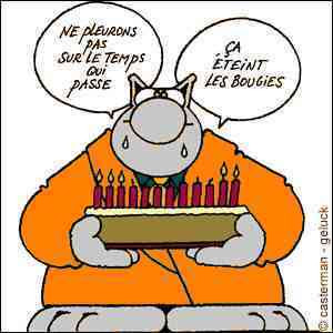 Anniversaires et fêtes en tout genre : c'est ici qu'on partage le gâteau et qu'on boit (sans alcool bien sûr) - Page 3 Le-chat-gateau-anniversaire