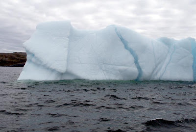 akibat pemanasan global, gunung es hanyut ke negeri kiwi 4