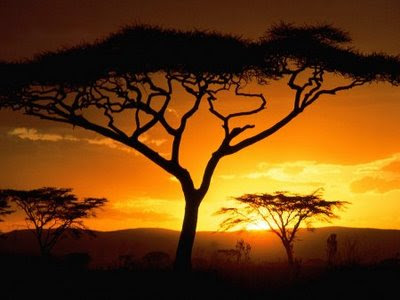 صور غروب روعه 1202035938_1201985349_tanzanian-sunset