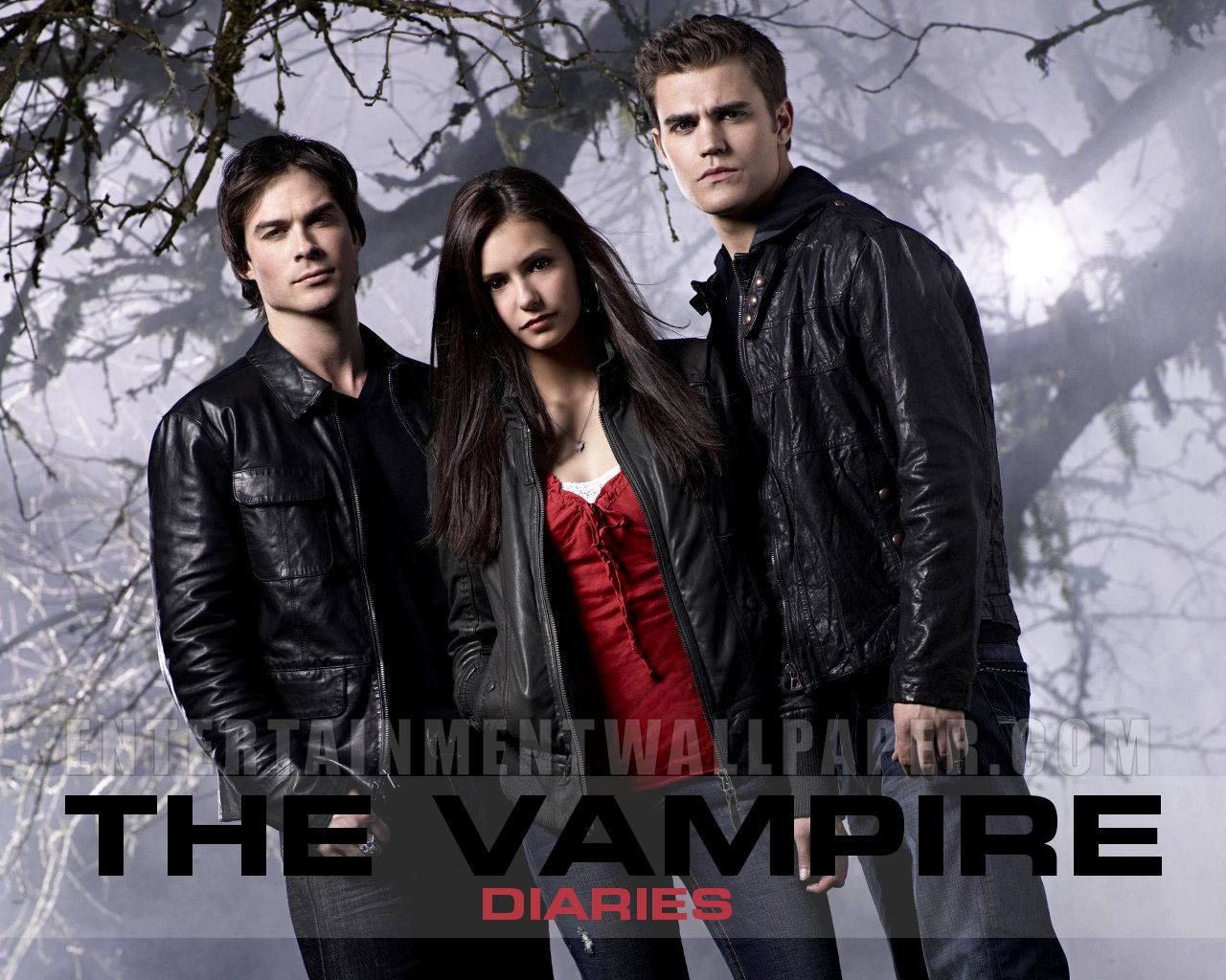 The Vampire Diaries ( Jurnalele Vampirilor ) Tv_the_vampire_diaries01