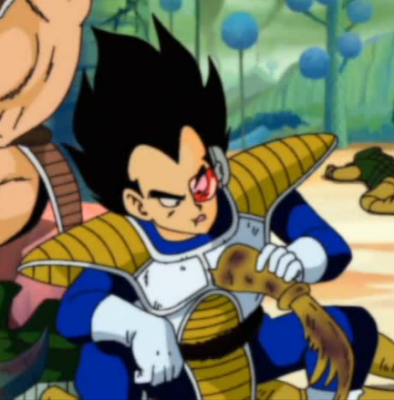 صور فيجيتا VegetaKai