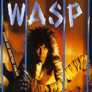 WASP 3