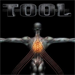 Tool Tool-Salival