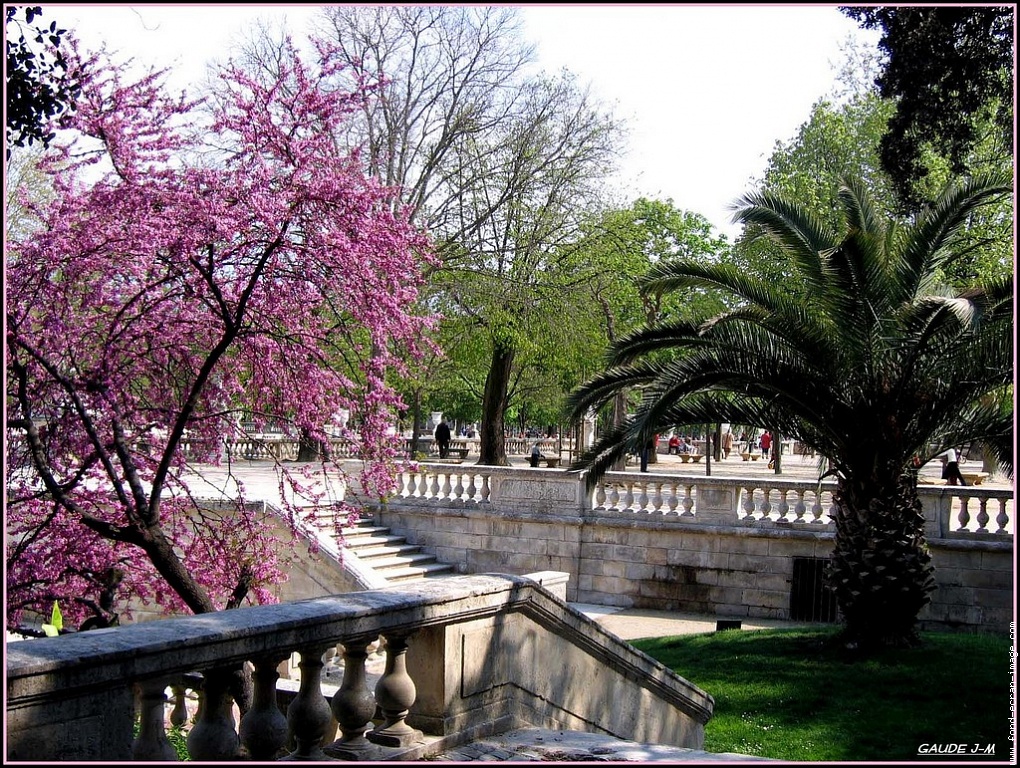 Jardins de la Fontaine à Nîmes - languedoc-Roussillon Jardin-de-la-fontaine-a-nimes
