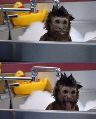 நாங்களும்தான்... Monkey_bath