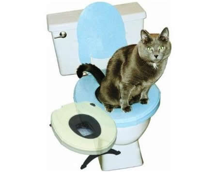 நாங்களும் நாங்களும் படங்கள் பாருங்கள்! Feline-evolution-catseat-cat-toilet-training-seat