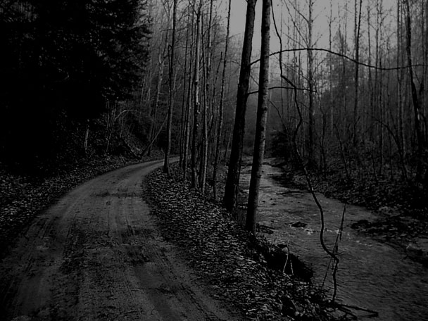 Sötét ösvények Dark-road-in-the-woods