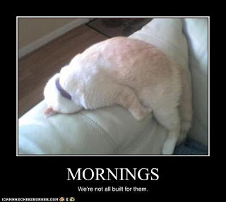 Motivational Posters ~ Vemos quien obtiene un epic win? - Página 8 Funny-pictures-cat-hates-mornings