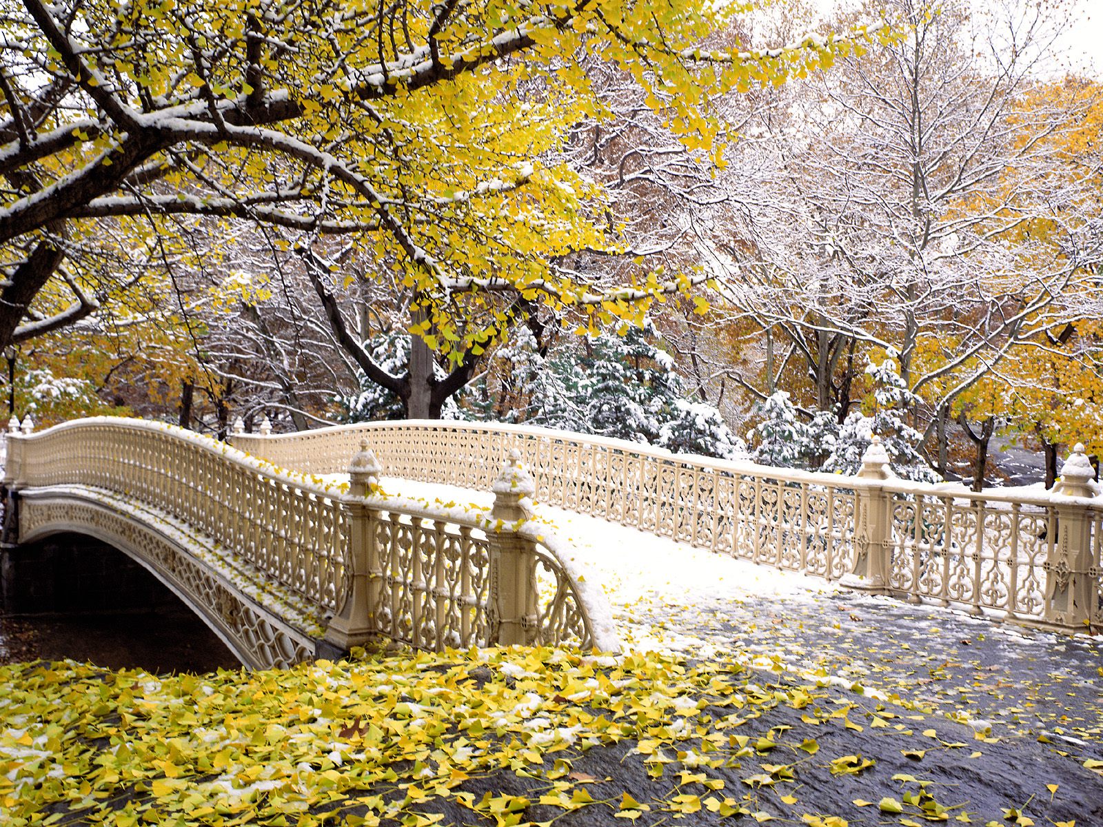 Najlepši parkovi sveta Early_Snowfall_Central_Park_New_York