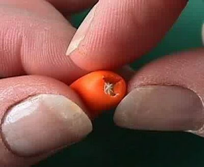 فــن صنع البرتقال Smallest-fake-orange-25
