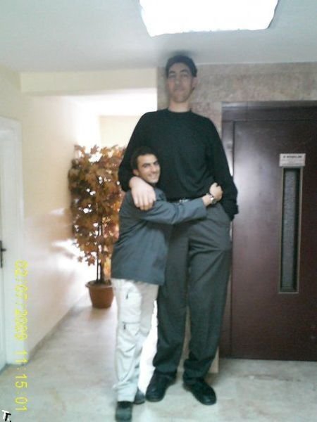 உலகில் மிக உயர்ந்த மனிதன்( 8'1")  Sultan-Kosen-tallest-man-14