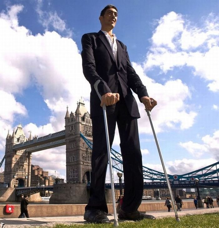 உலகில் மிக உயர்ந்த மனிதன்( 8'1")  Sultan-Kosen-tallest-man-09