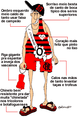 TOPICO CRIADO PRA FALAR DE TUDO MENOS IKARIAM  Flamengo_perfil_do_torcedor