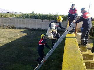 YAGO - rescatado de una balsa por los bomberos, ahora en la perrera de Orihuela 01122010135-775351