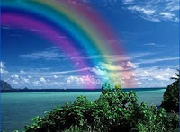 விதவை Rainbow-3