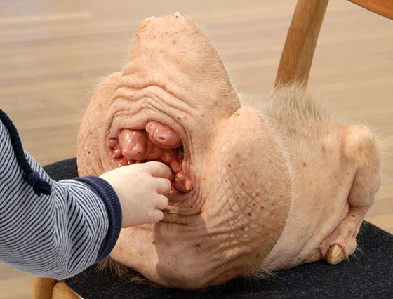 வினோதமான படங்கள்  Sculptures_by_Patricia_Piccinini13