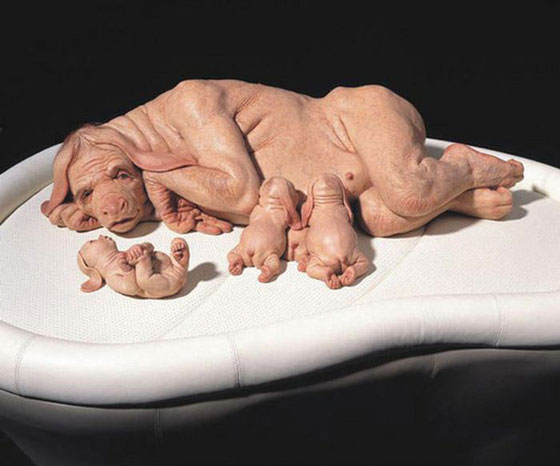 வினோதமான படங்கள்  Sculptures_by_Patricia_Piccinini33