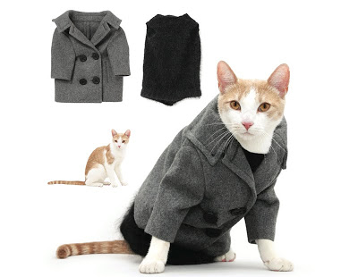 صح ملابس بس مولينا  Fashionable-cats-13