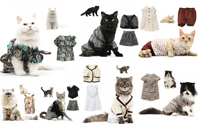 صح ملابس بس مولينا  Fashionable-cats-01