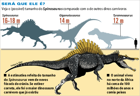 Megalodon con cá mập tiền sử còn sống?? - Page 2 20060301-spinosaurus