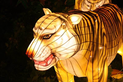 مهرجان المصابيح فــ الصين Chinese-Lantern-Festival-14