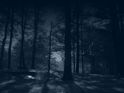 Floresta de Paradise - Página 2 Dark_forest_by_sonnenradbanner