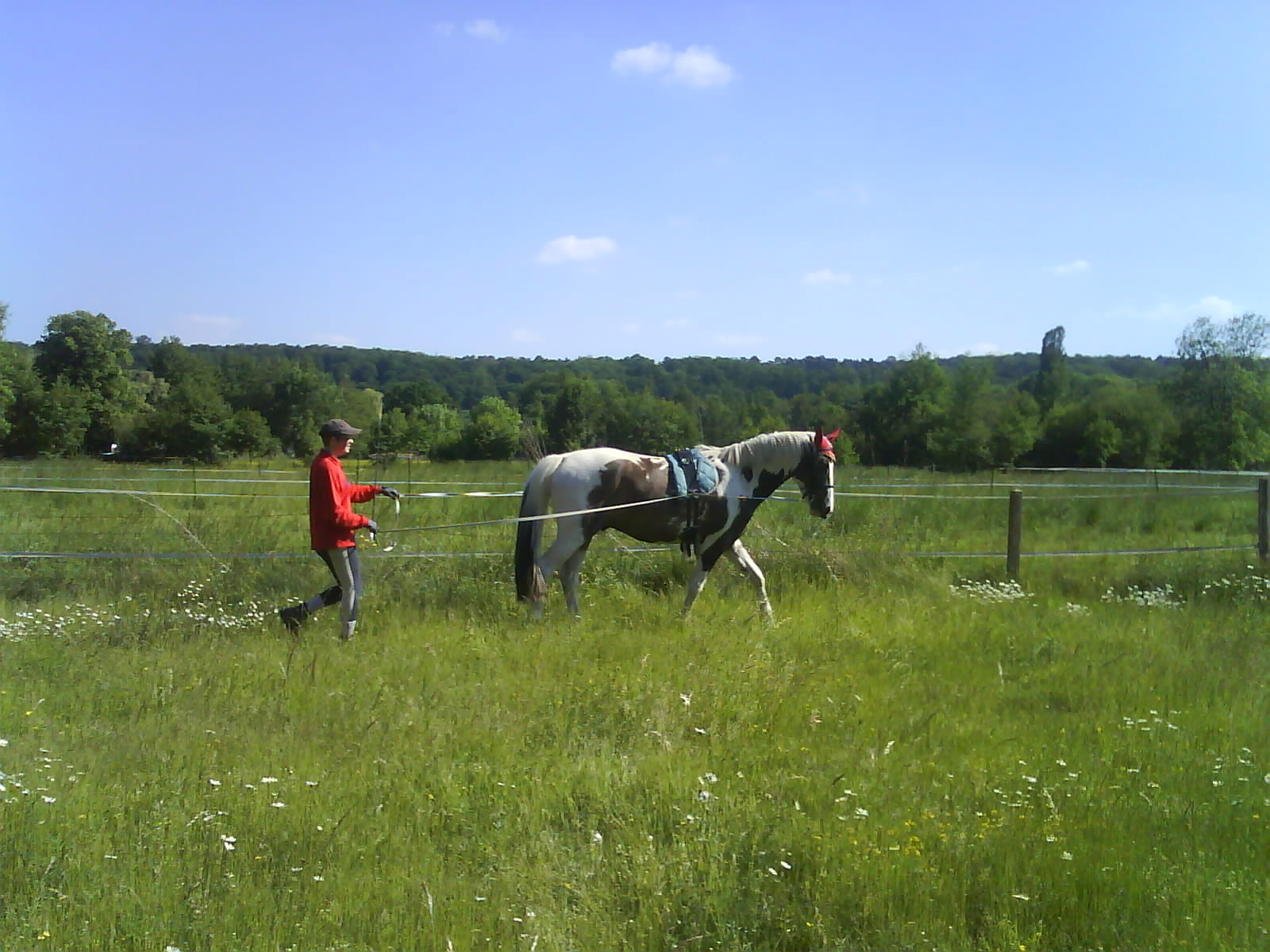 travail à pieds avec Billy DSC00775