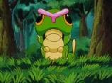 Aki a florestra Caterpie_a_l%27anime