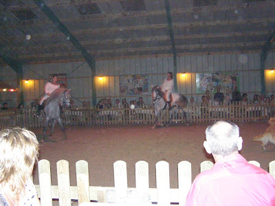 Spectacle équestre La Bodéga P7190776