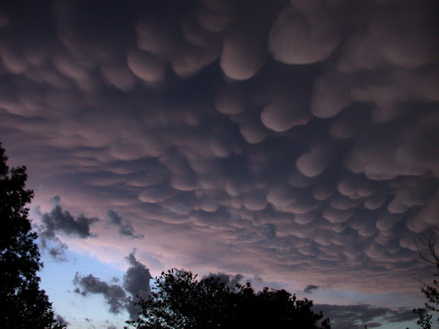  Archangelic Queens of Heaven and the United States of the Solar System - Page 3 Mammatus-1