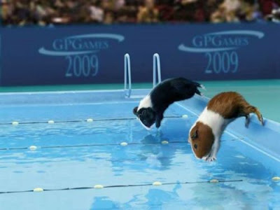 வேடிக்கையான ஒலிம்பிக் படங்கள்  Olympicswithguineapigs0ow7