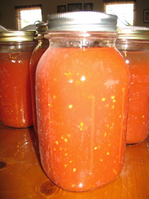 Home Canning Vegetables-Tomatoes & Tomato Products (Including Ketchup) IMG_3388