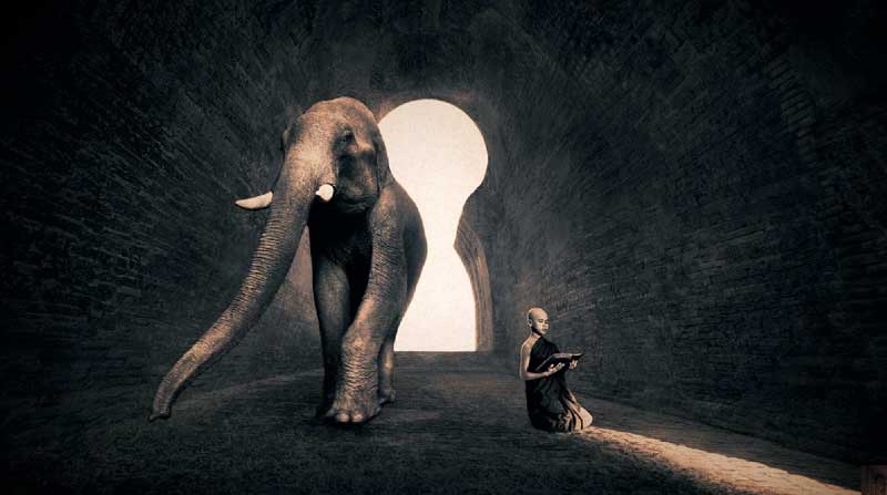 Gregory Colbert : Ashes and Snow -  3 Ashes-colbert-1