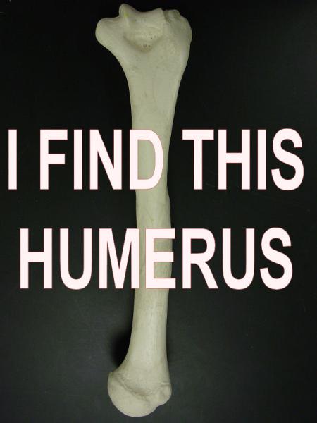 NA/dubbed version? I-find-this-humerus1