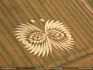 CONTACTADOS - Página 4 UKCropCircle-butterflyeffect