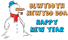 Blwyddyn Newydd Dda I chi Happy-New-Year